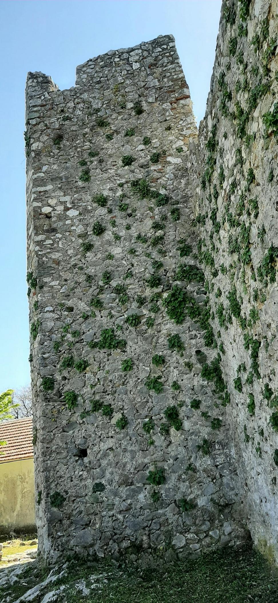 The Sorcerer's Tower